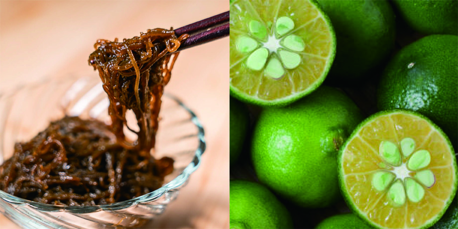 有限会社ダイチ通商メイン画像6